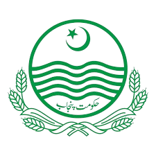 image-removebg-preview